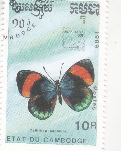 Mariposa