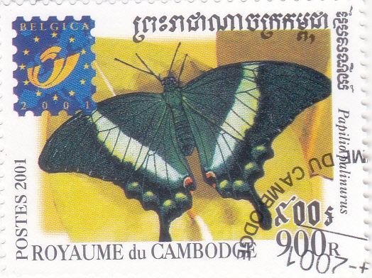 Mariposa