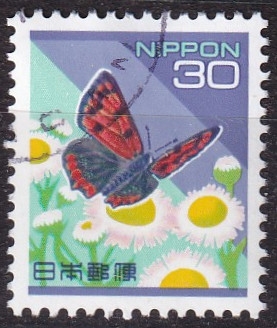 mariposa lycaena phleas