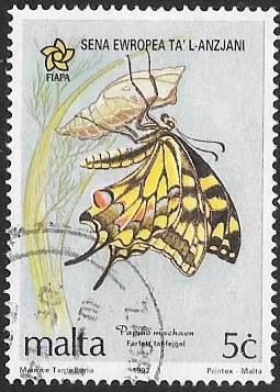 mariposas