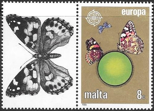 mariposas