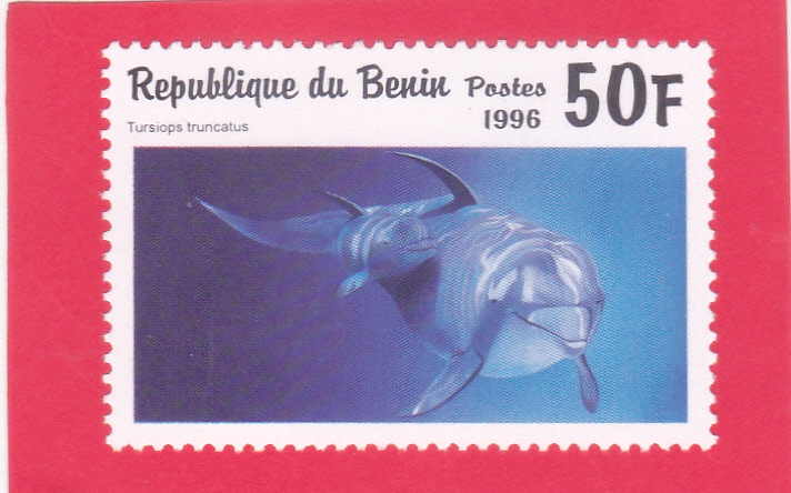 DELFIN