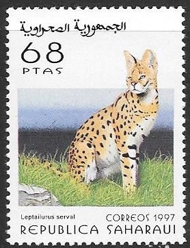 Fauna
