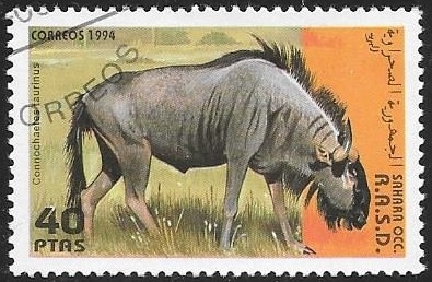 Fauna