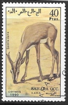 Fauna