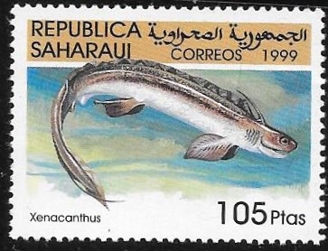 peces