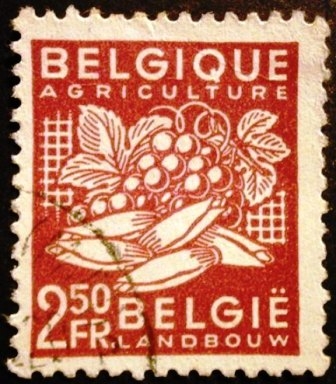 Exportación. Agricultura  
