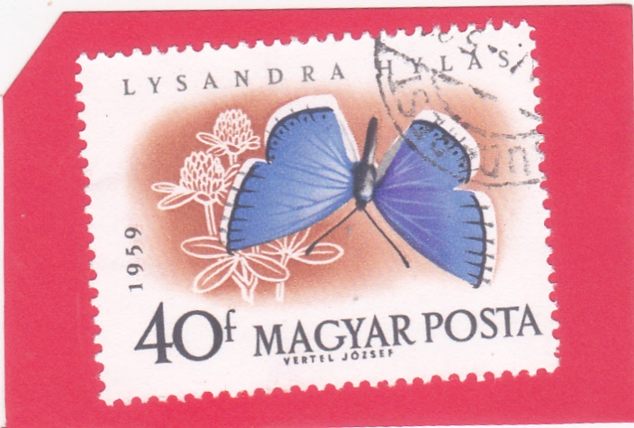 MARIPOSA