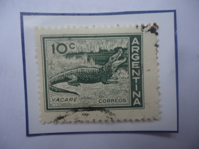 Yacaré - Caimán - Sello de 10 Ctvs. año 1959