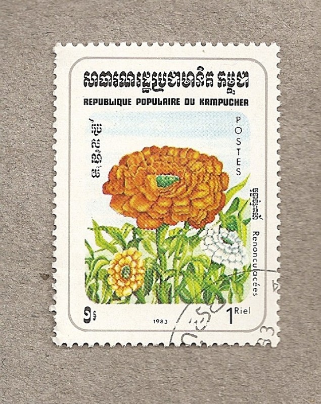 Flores