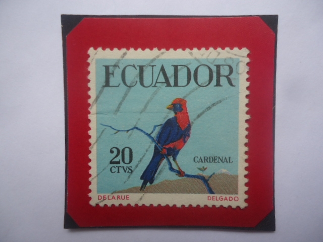 Cardenal- (Ramphocelus nigrogularis)- Aves Tropicales-Tangara carmesí Almizclada-Sello 20 Ct. 1958. 