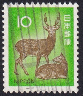 cervus nippon