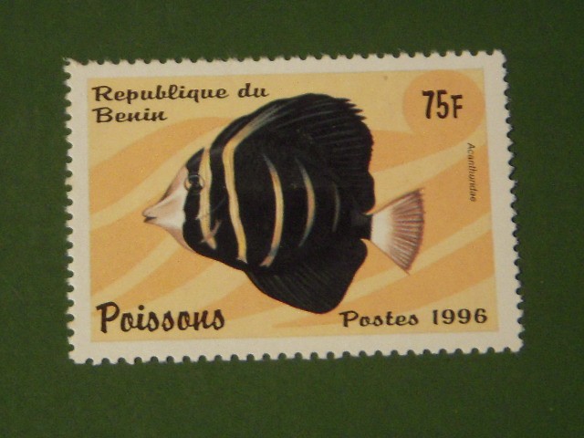 Pez