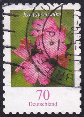 Dianthus carthusianorum