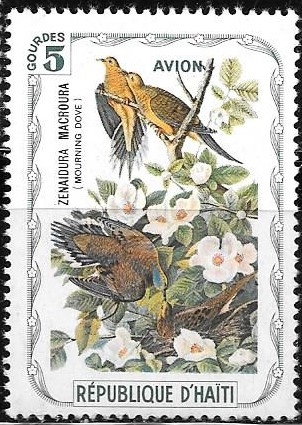 Aves (cenicientas)