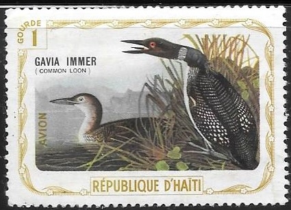 Aves (cenicientas)