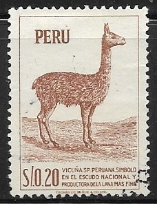 Vicuña peruana