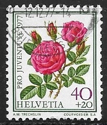  Pro Juventute: Roses (1977)