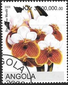 cenicientas