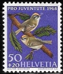 aves