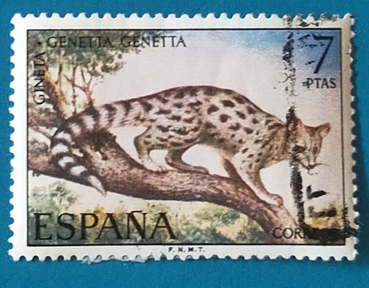 Edifil 2106