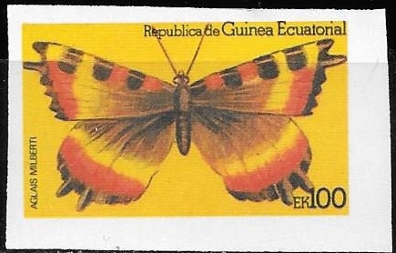 cenicientas