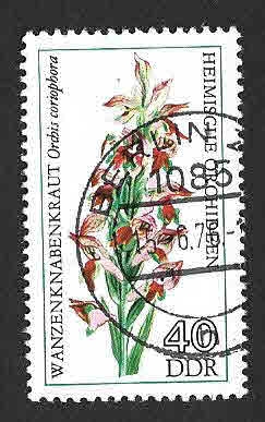 1733 - Orquídea
