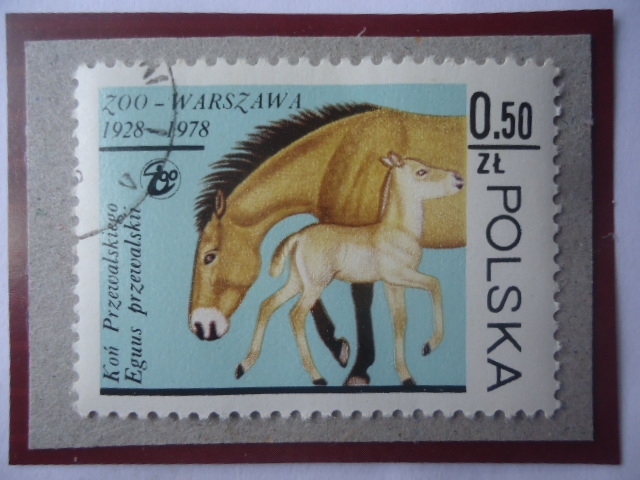 Jardín Zoológico de Varsovia (928/78)-Caballo Przewalskii