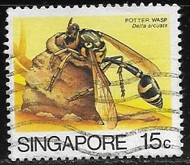 Abejas - Delta arcuata