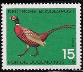 aves