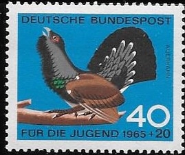 aves