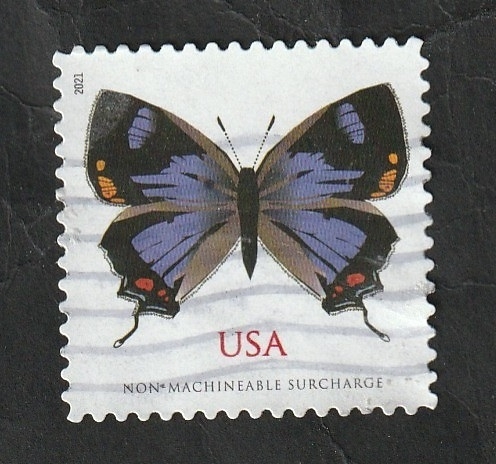 Mariposa