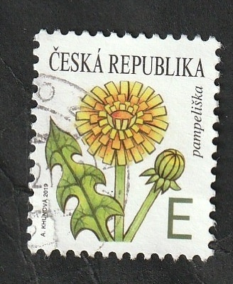 917 - Flor Taraxacum officinale