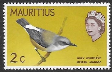 aves