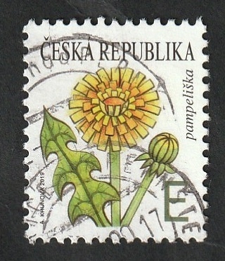 917 - Flor Taraxacum officinale