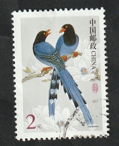 3973 - Urraca de Formosa, Urocissa caerulea
