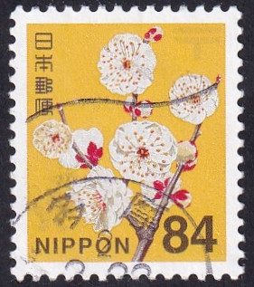 Prunus mume