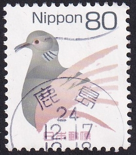 Streptopelia orientalis