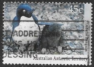 aves