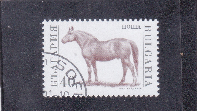 caballo