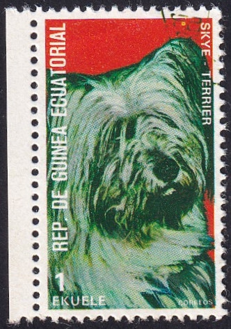 Skye Terrier