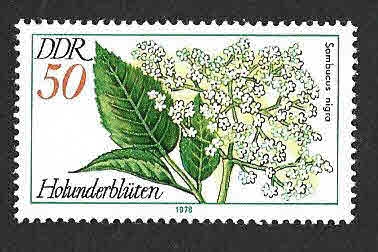 1880 - Plantas Medicinales (DDR)