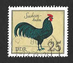 1985 - Gallo Alemán (DDR)