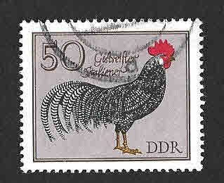 1987 - Gallo Alemán (DDR)