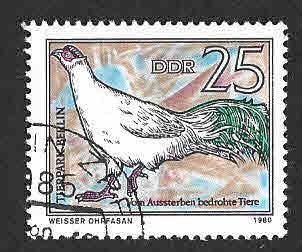 2117 - Faisán Orejudo (DDR)