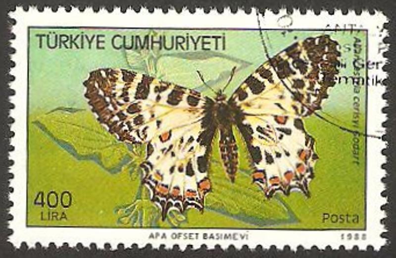 mariposa
