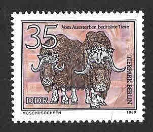 2118 - Buey Almizclero (DDR)