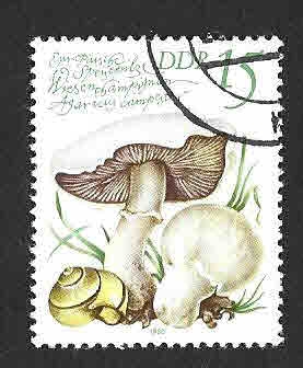2139 - Setas Comestibles (DDR)