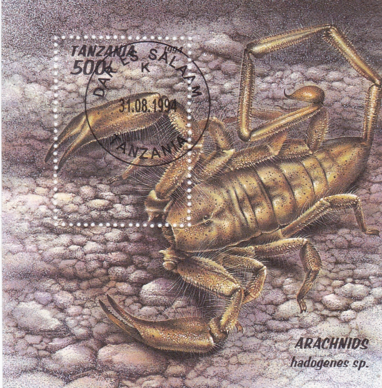 ARACNIDOS