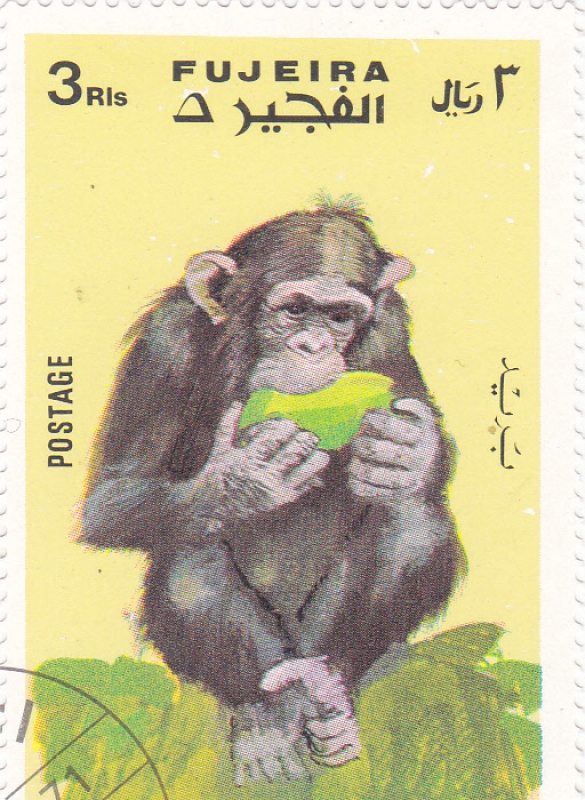 SIMIO